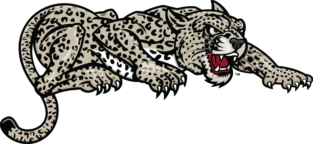 Lafayette Leopards 2000-Pres Partial Logo v2 iron on transfers for T-shirts